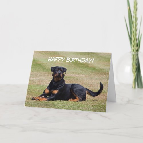 Rottweiler dog happy birthday greetings card