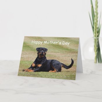 Rottweiler Dog Happy Mother's Day Greetings Card by roughcollie at Zazzle