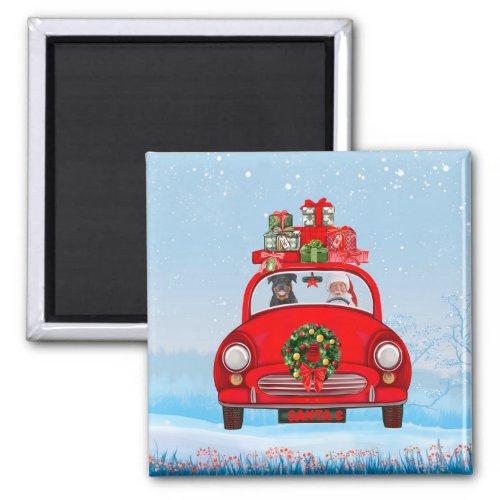 Rottweiler Dog In Car With Santa Claus Magnet