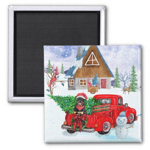 Rottweiler Dog In Christmas Delivery Truck Snow Magnet