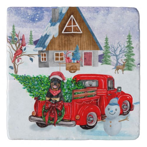 Rottweiler Dog In Christmas Delivery Truck Snow Trivet