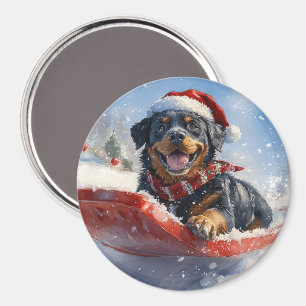 Rottweiler Dog in Sledge Let it Snow Christmas Magnet