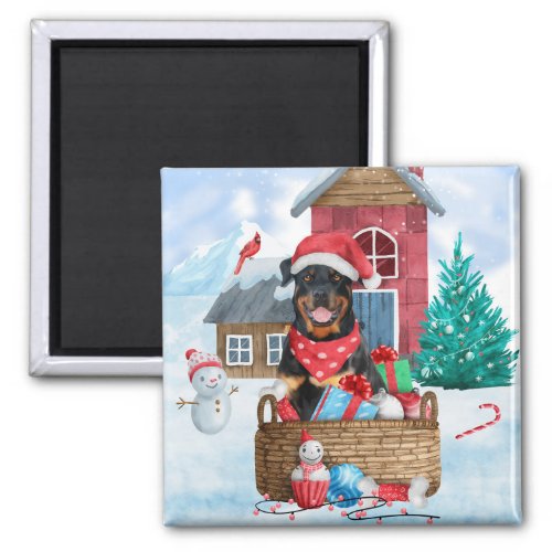 Rottweiler Dog In snow Christmas Dog House  Magnet