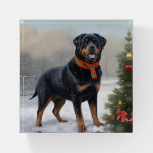 Rottweiler Dog in Snow Christmas Paperweight