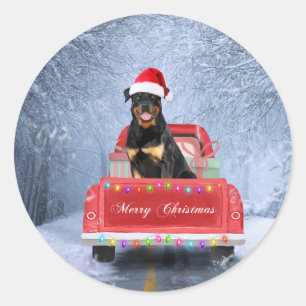 Rottweiler Dog in Snow sitting in Christmas Truck Classic Round Sticker
