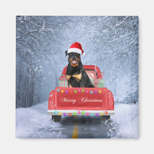 Rottweiler Dog in Snow sitting in Christmas Truck Magnet