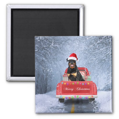 Rottweiler Dog in Snow sitting in Christmas Truck  Magnet