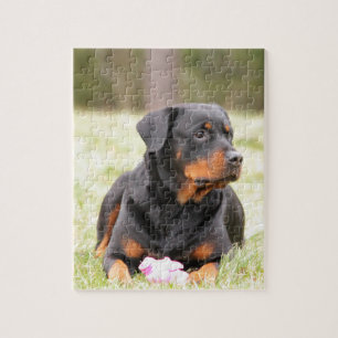 Rottweiler Dog Jigsaw Puzzle