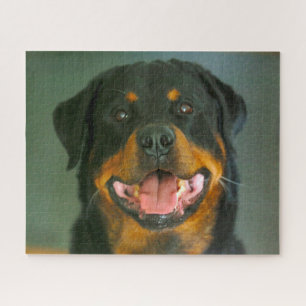 Rottweiler Dog Jigsaws. Jigsaw Puzzle