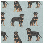 rottweiler dog light blue fabric
