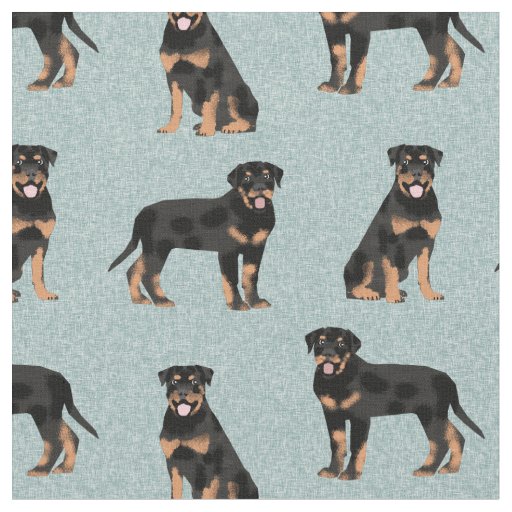 rottweiler dog light blue fabric