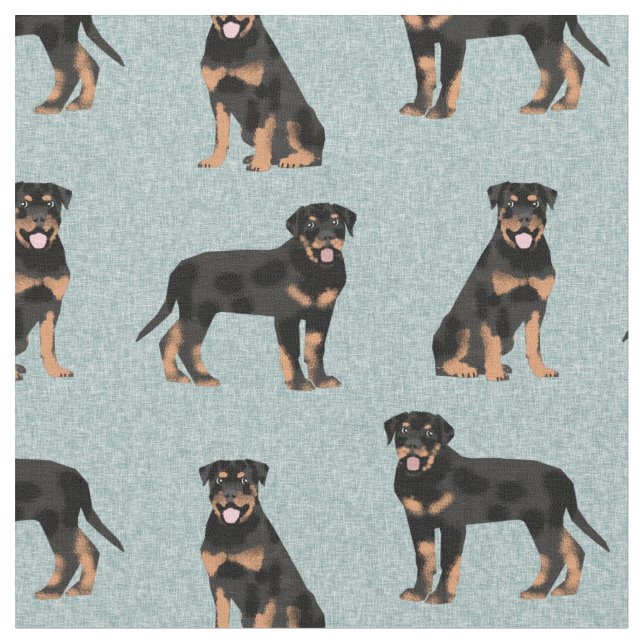 rottweiler dog light blue fabric (Close Up)