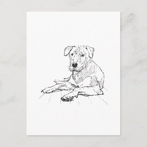 Rottweiler Dog Lover Minimalist Illustration Postcard