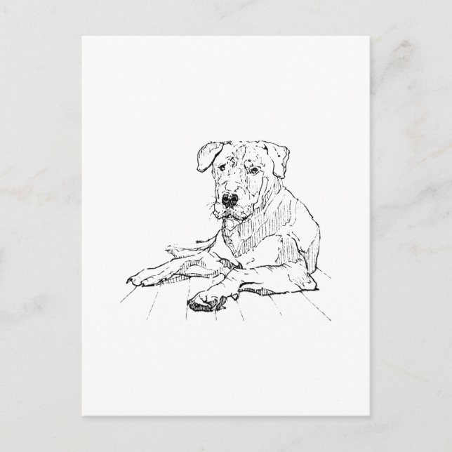 Rottweiler Dog Lover Minimalist Illustration Postcard (Front)