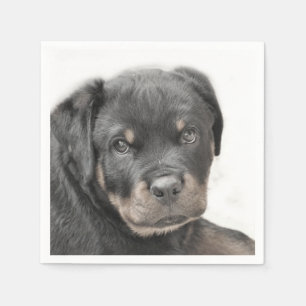 Rottweiler dog napkins