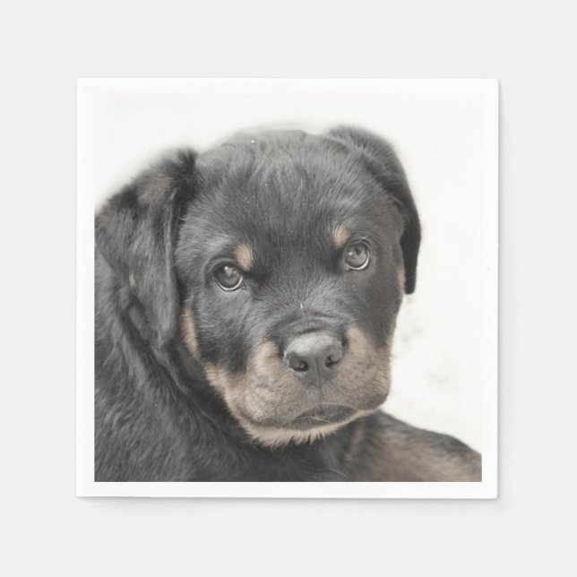 Rottweiler dog napkins (Front)