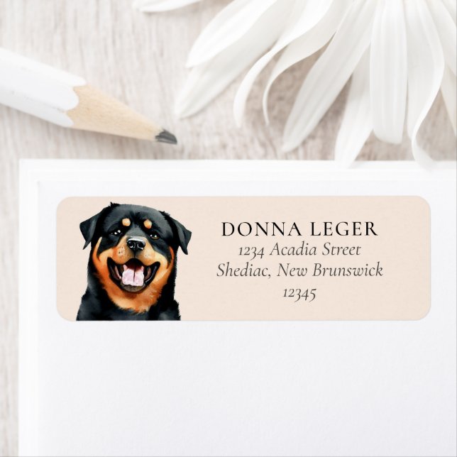 Rottweiler Dog Personalized Address Label (Insitu)