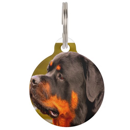 Rottweiler Dog Pet ID Tag