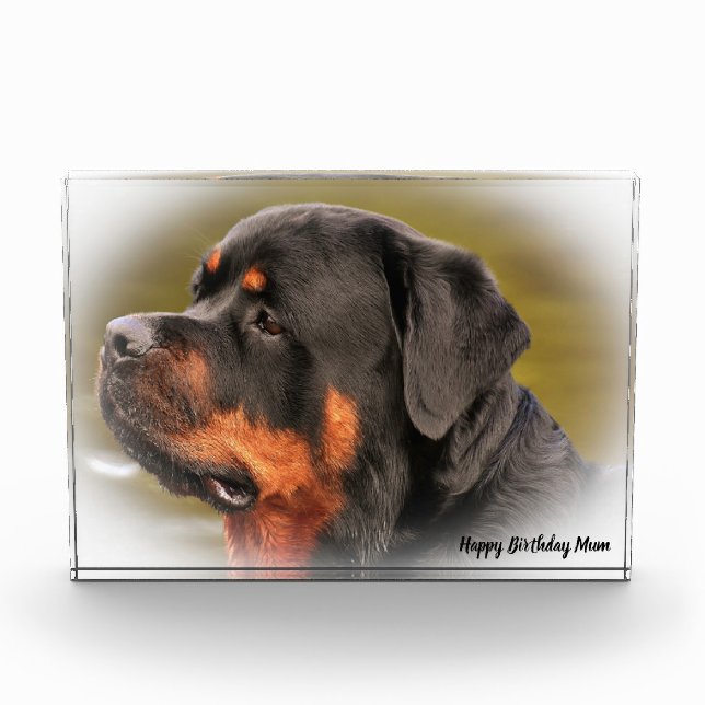 Rottweiler Dog Photo Block (Front)