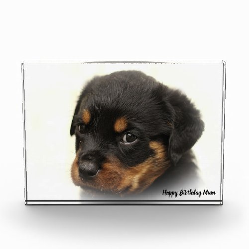 Rottweiler Dog Photo Block