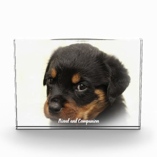 Rottweiler Dog Photo Block