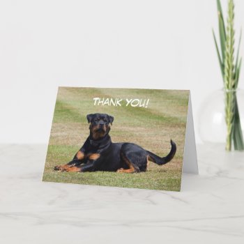 Rottweiler Dog Photo Greetings Card by roughcollie at Zazzle