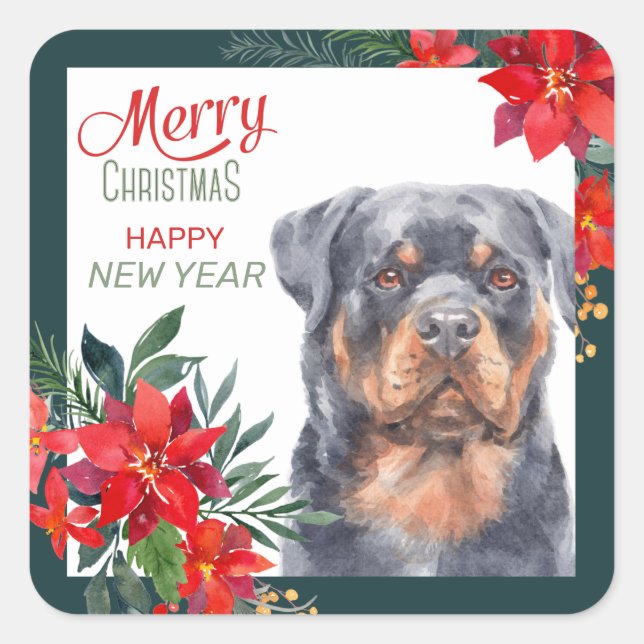 Rottweiler Dog Poinsettia Border Christmas Square Sticker (Front)