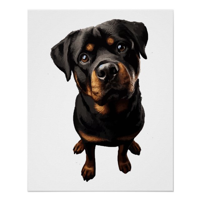 rottweiler dog poster (Front)