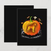 rottweiler dog pumpkin costume halloween (Front/Back)