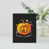 rottweiler dog pumpkin costume halloween (Standing Front)