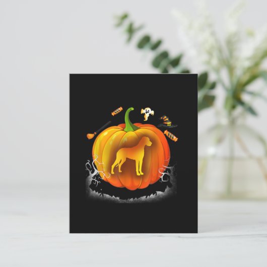 rottweiler dog pumpkin costume halloween (Standing Front)