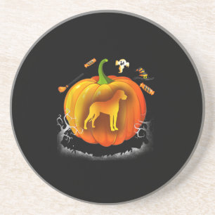 rottweiler dog pumpkin costume halloween coaster