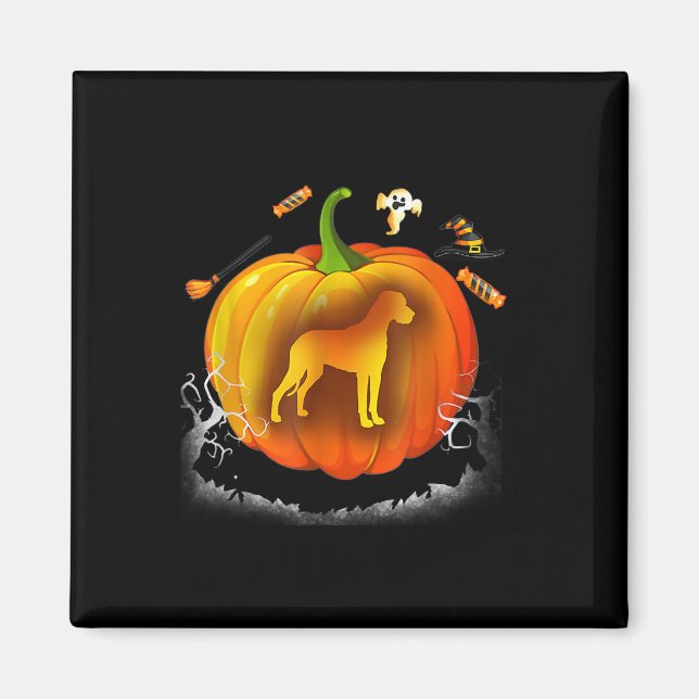 rottweiler dog pumpkin costume halloween magnet (Front)