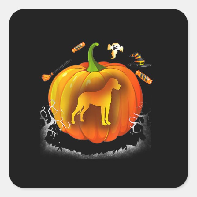 rottweiler dog pumpkin costume halloween square sticker (Front)