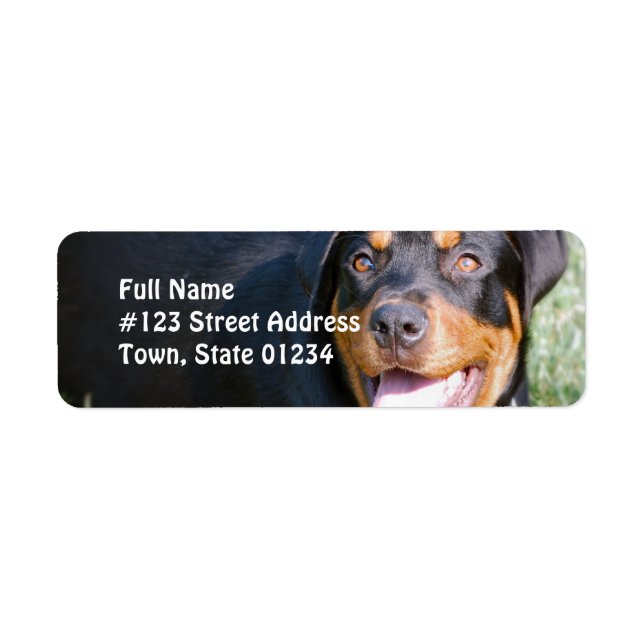 Rottweiler Dog Return Address Label (Front)