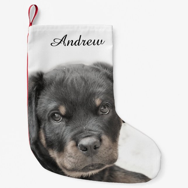 Rottweiler dog small christmas stocking (Front)