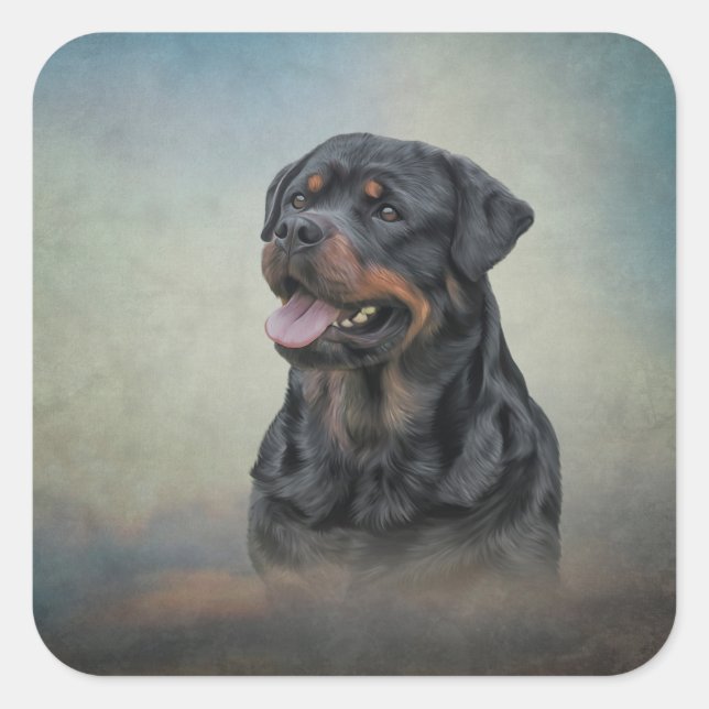 Rottweiler dog square sticker (Front)