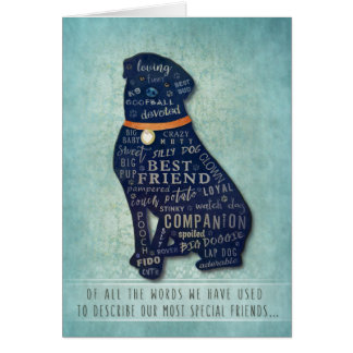 Pet Sympathy