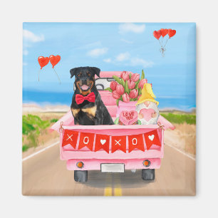 Rottweiler Dog Valentine's Day Truck Hearts Magnet