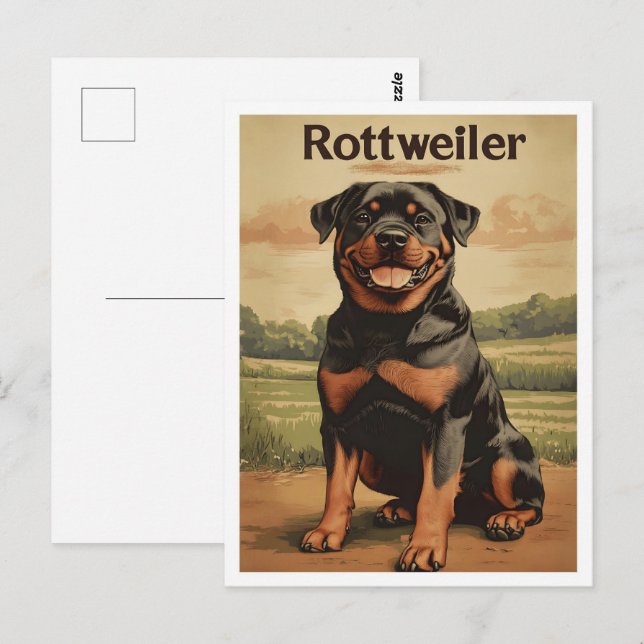 Rottweiler Dog Vintage Art Postcard (Front/Back)
