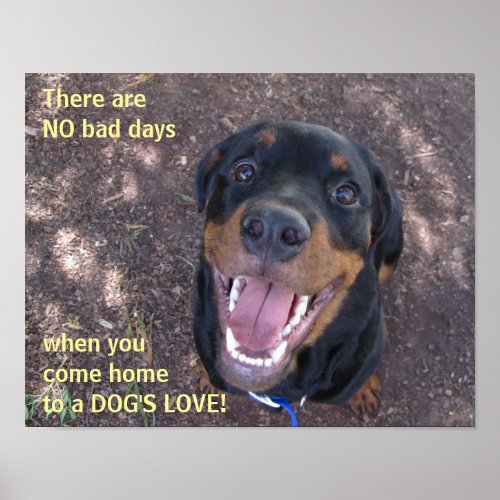 Rottweiler Dogs Love Poster