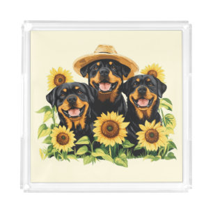 Rottweiler Dogs Surrounded By Sunflowers Acrylic Tray