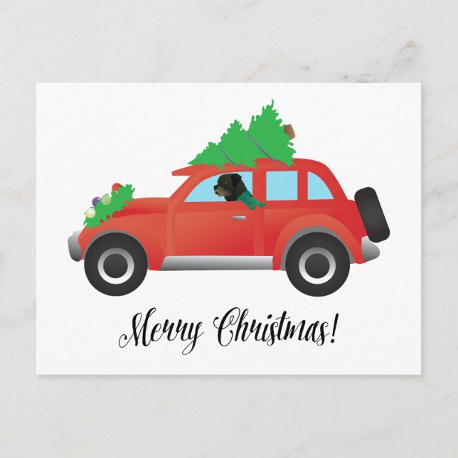 Rottweiler Driving Christmas Car Holiday Postcard (Front)