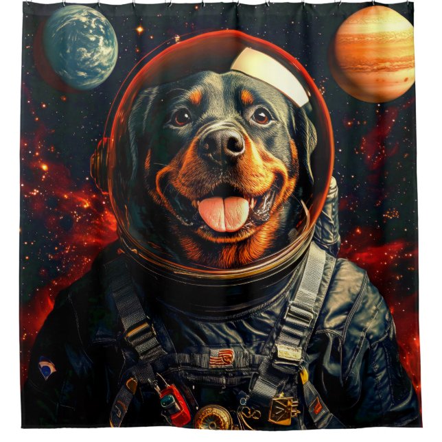 Rottweiler Explores Shower Curtain (Front)