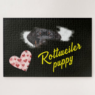 Rottweiler Eyes Solid Color 1000 piece Jigsaw Puzz Jigsaw Puzzle