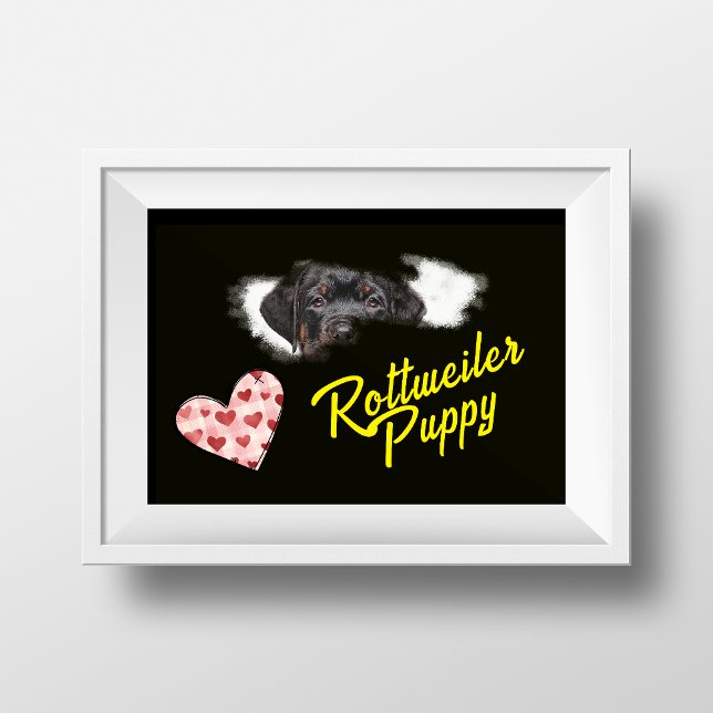Rottweiler Eyes Solid Color  Poster (Creator Uploaded)