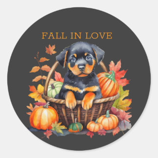 Rottweiler Fall In Love Classic Round Sticker