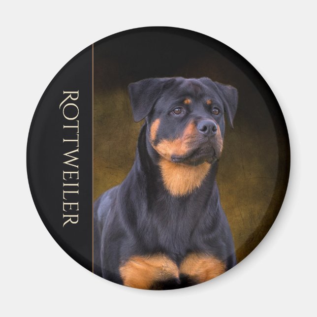Rottweiler Fridge Magnet (Front)
