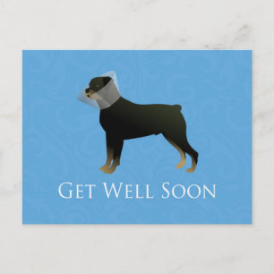 Rottweiler Get Well Soon Design Postcard