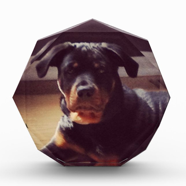Rottweiler gifts (Front)